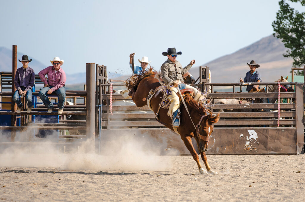 Nevada County Fairgrounds